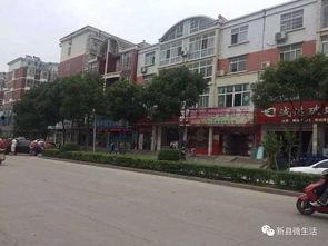 新县网友爆料事件最新,揭秘当地最新热点事件内幕